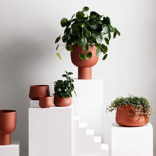 Load image into Gallery viewer, Mona Pot Trio