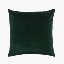 Load image into Gallery viewer, Etro Cushion