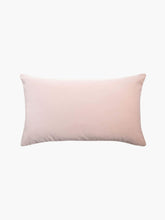 Load image into Gallery viewer, Etro Cushion