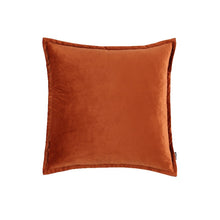 Load image into Gallery viewer, Lester Cushion