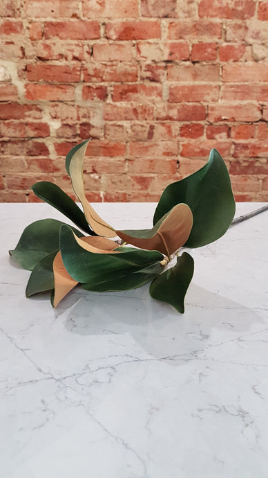 Magnolia leaf spray