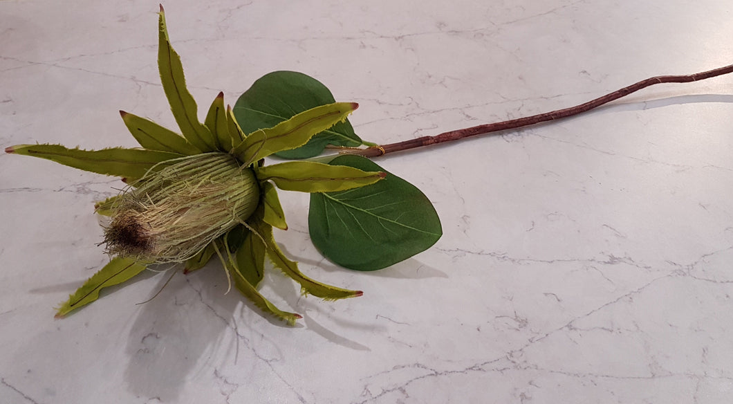 Protea spray