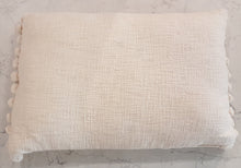 Load image into Gallery viewer, Huxley Cushion