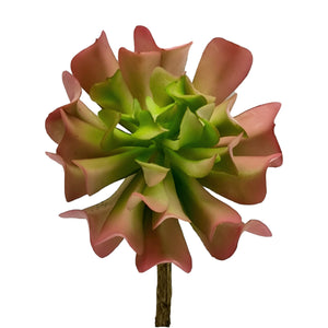 Topsy Turvy Succulent - Pink
