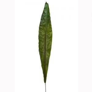 Gymea Leaf