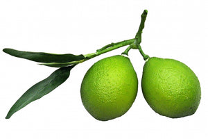 Limes (Set of 2)