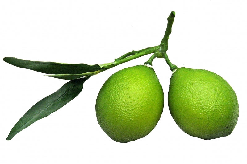 Limes (Set of 2)