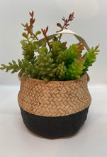 Load image into Gallery viewer, Rattan Style Basket Pot
