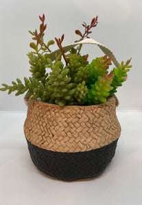 Rattan Style Basket Pot