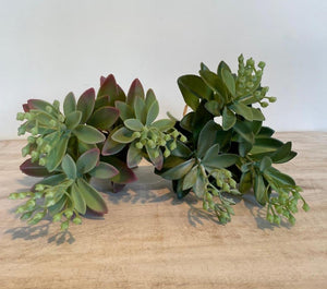 Artificial Succulents