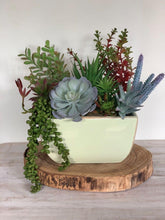 Load image into Gallery viewer, Artificial Succulents