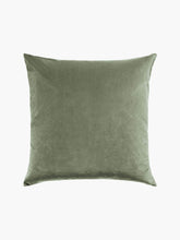 Load image into Gallery viewer, Etro Cushion