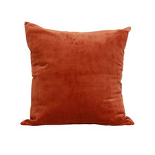 Load image into Gallery viewer, Velvet Cushion