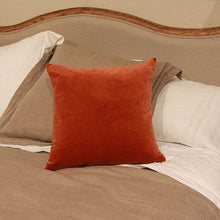 Load image into Gallery viewer, Velvet Cushion