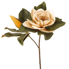 Load image into Gallery viewer, Magnolia flower