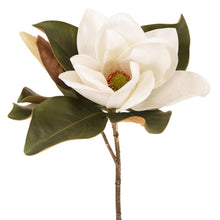Load image into Gallery viewer, Magnolia flower