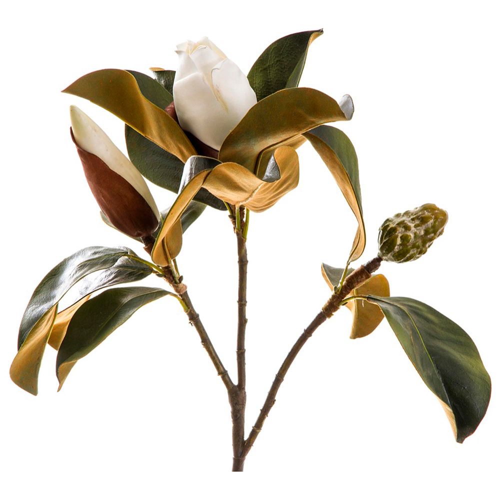 Magnolia bud 77cm