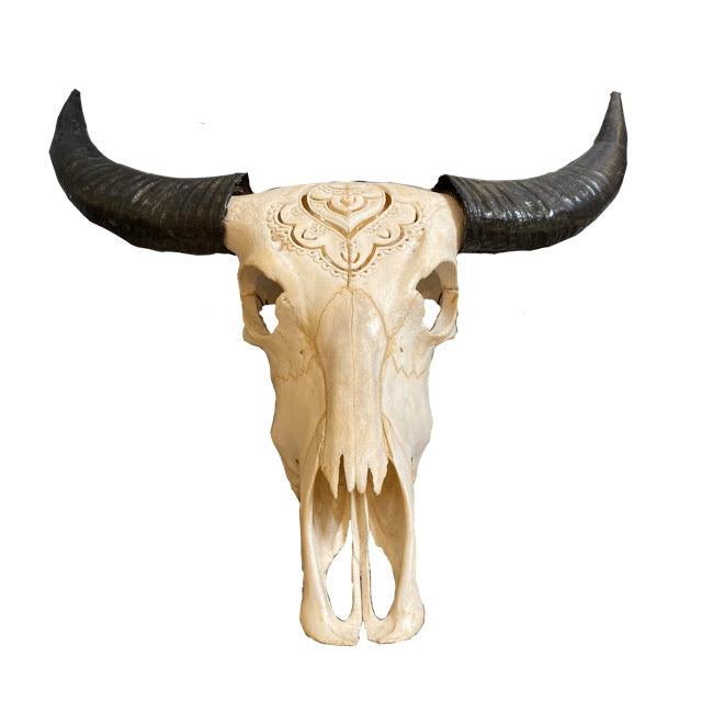Henna Buffalo Skull
